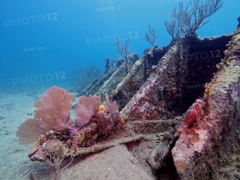 A marine landscape with corals and the wreck of the Benwood, surrounded by clear water, dive site John Pennekamp Coral Reef State Park, Key Largo, Florida Keys, Florida, USA