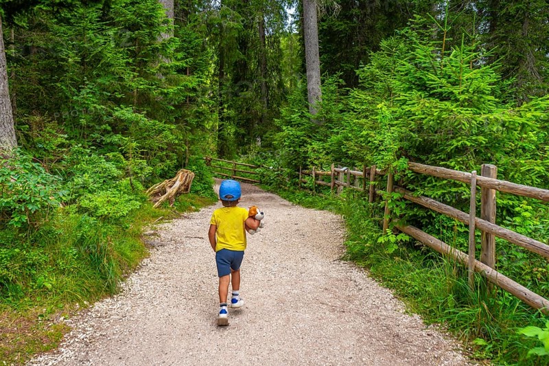 Young boy enjoying a walk in a lush green forest, holding his plush toy, exploring nature's beauty