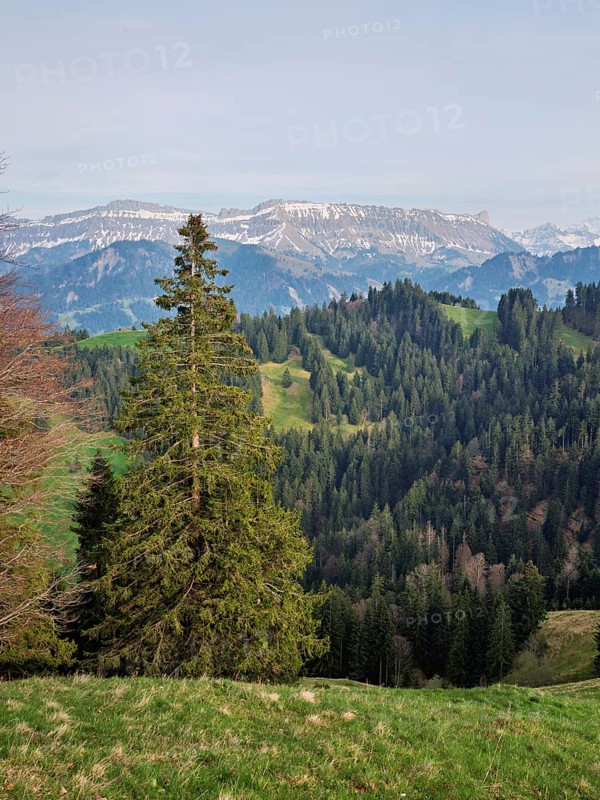 View from the Rämisgummen to the Schrattenfluh, Emmental, Canton Bern, Switzerland