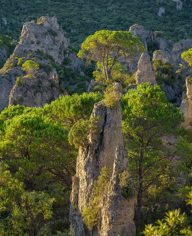 View of rocks and trees in the evening light from the Belvedere, Mourèze, Département Hérault, France
