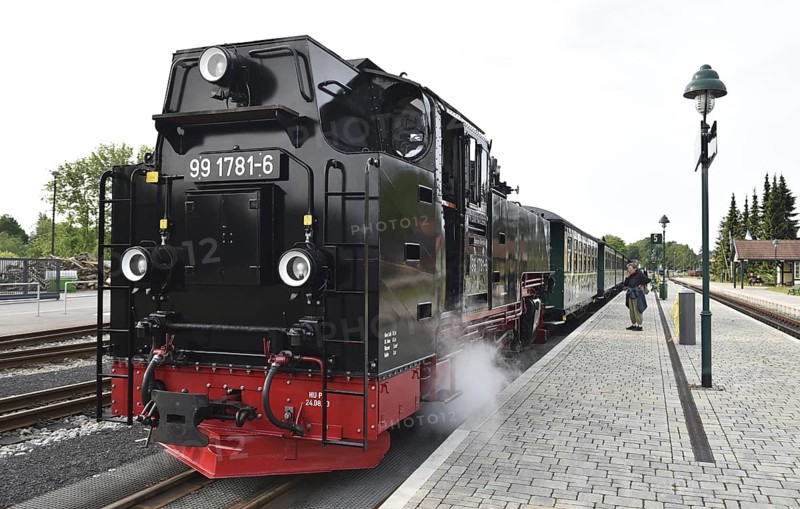 The Raging Roland, narrow-gauge railway, on Rügen, Mecklenburg-Vorpommern, Germany