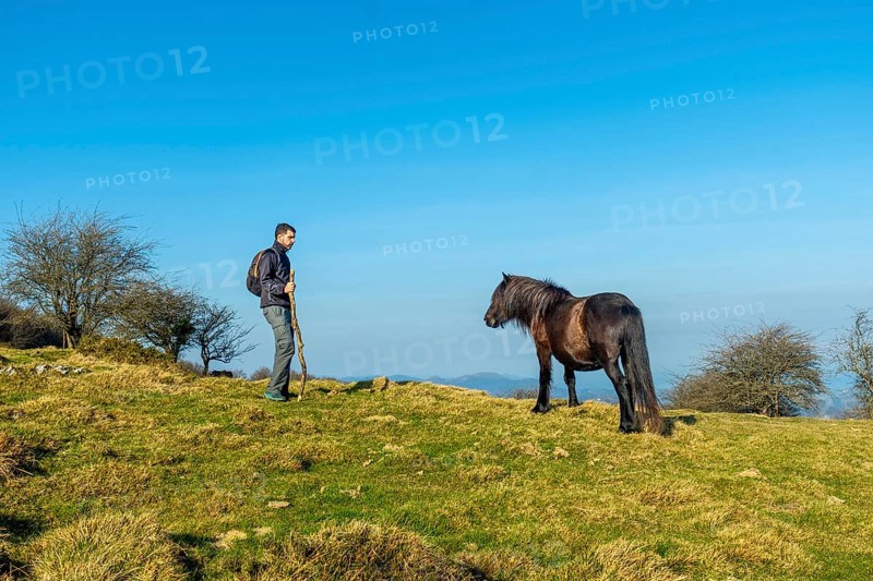 Horse on the top of Mount Ernio or Hernio in Gipuzkoa, Basque Country