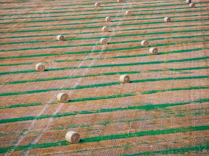 Straw bales on a harvested field, drone photo. Gotha, Thuringia, Germany