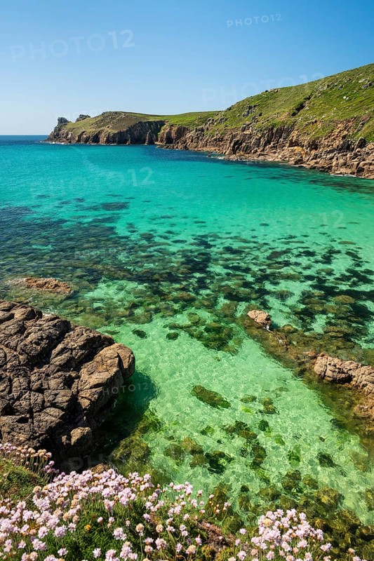 Coastal landscape. sandy beach beach and rocks in Nanjizal Bay or Nanjizal Beach. Beach carnations (Armeria maritima) in bloom in the foreground. St Just, Penzance, Cornwall, England, Great Britain