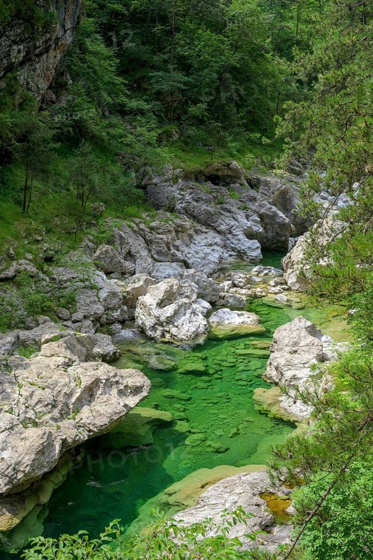 Emerald green river Pozze Smeraldine, Tramonti di Sopra, Province of Pordenone, Italy