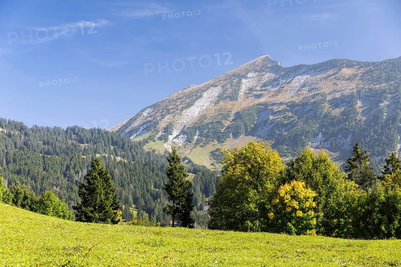 View from Altschen to Leistchamm in autumn, Arvenbüel, Amden, Switzerland