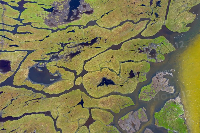 Aerial view over salt marsh on the island Kirr in the Darß-Zingster Boddenkette, along the German Baltic Sea coast, Mecklenburg-Vorpommern, Germany