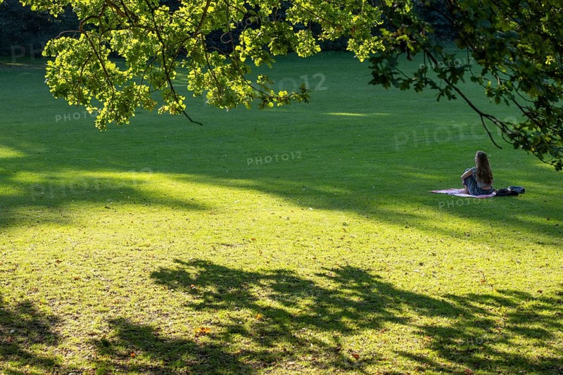 Person sitting on a blanket, sunlit meadow under oak trees, Frederiksberg Park, Copenhagen, Denmark