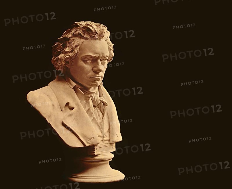 Bust statue of Ludwig van Beethoven, 1770 -1827, German composer
