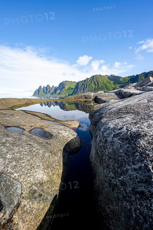 Plants and reflection in the tidal pool, rocky coast of Tungeneset, Devil's Teeth, Okshornan, Ersfjorden, Senja Island, Troms, Norway