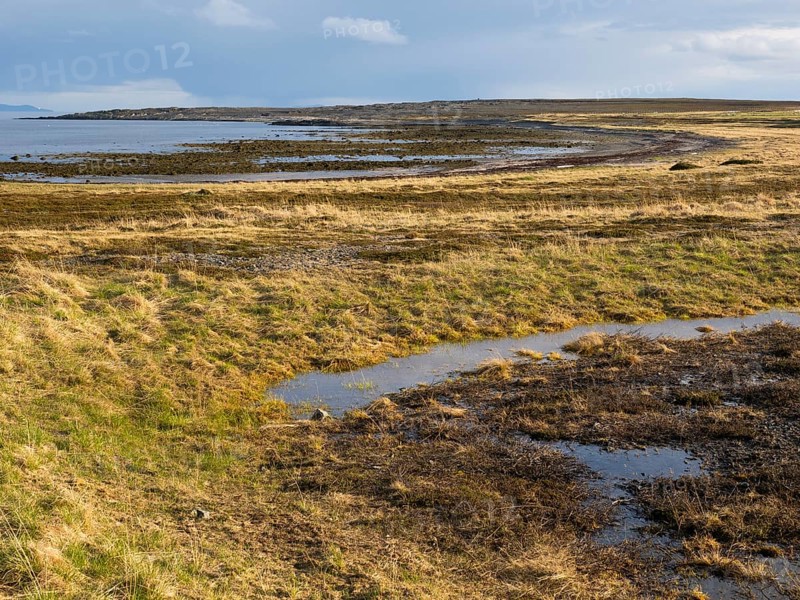 Arctic Ocean shoreline, beside Lanbunes, May, Varanger Fjord, Norway