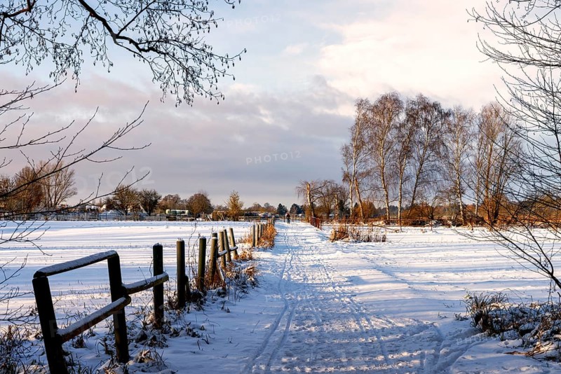 Winter landscape, fields and fields in Berlin Lübars, a village in Berlin Reinickendorf, Germany