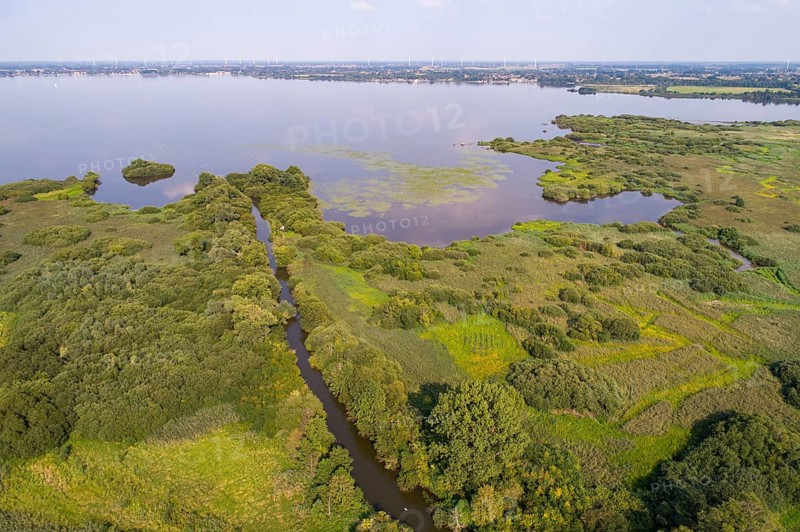 Aerial view of Lake Dümmer, nature reserve, reeds, shore, influence of the Hunte, river, Ochsenmoor, Hüde, Lower Saxony, Germany