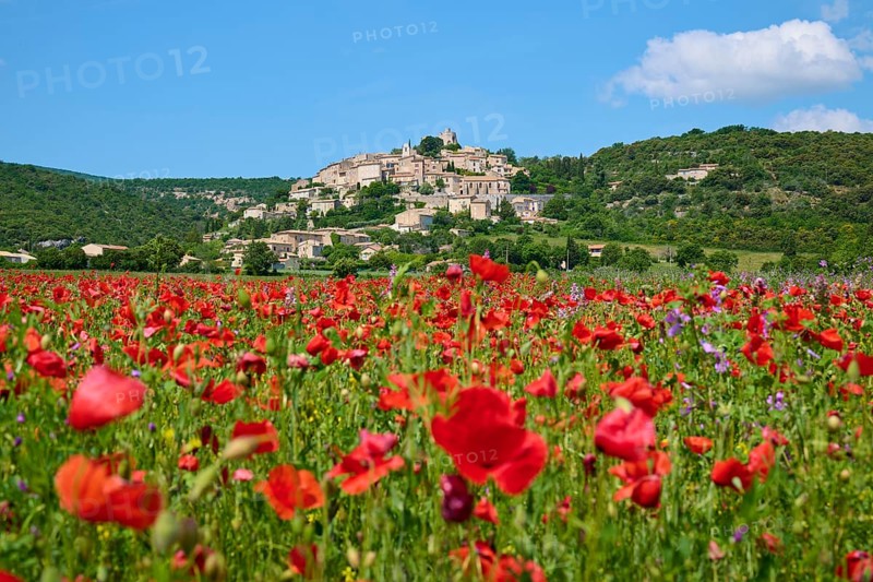 Village on a hill with green meadows and trees under a blue sky, in the foreground poppy field (Papaver), summer, Simiane-la-Rotonde, Provence, Alpes-de-Haute-Provence, France