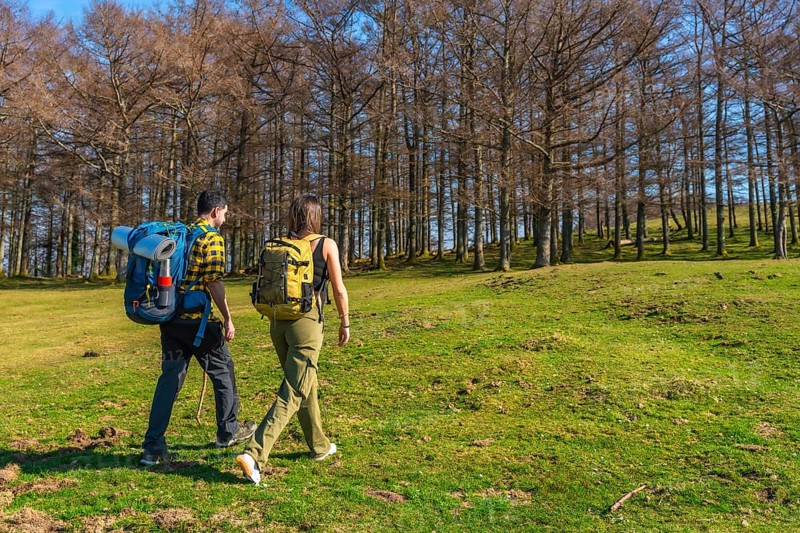 Hikers with backpacks walking through a lush green meadow alongside a vibrant forest, enjoying the beauty of spring on a sunny day