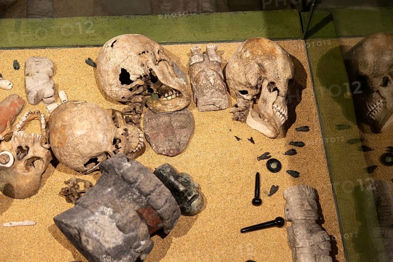 Display of offering including human skulls, archaeological site and museum of Templo Mayor, Mexico City, Mexico