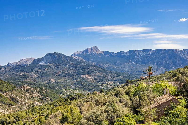 Scenics Mountain view at Serra de Tramuntana mountains with lush green trees in a woodland, Mallorca, Spain