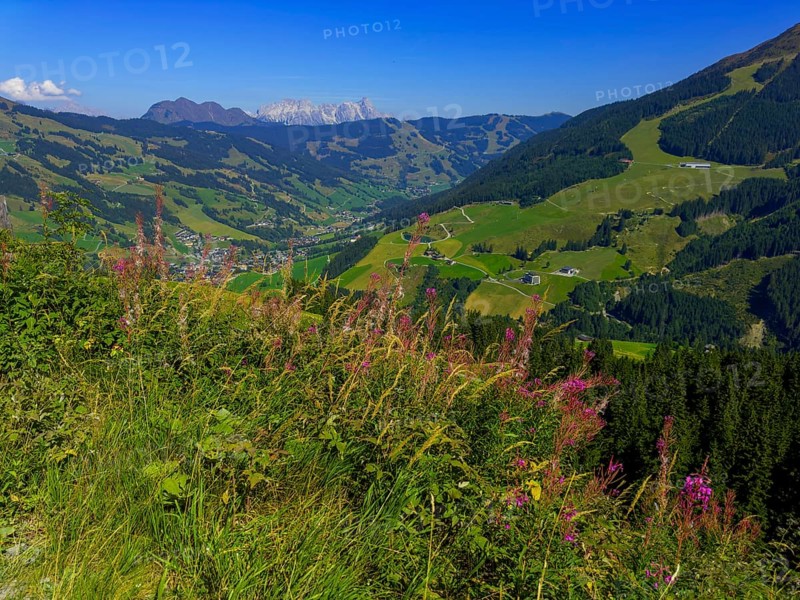 Tyrolean mountains near Saalbach-Hinterglemm, behind Leonganger Steinberge, highest peak Birnhorn at 2, 634 metres, Tyrol, Austria