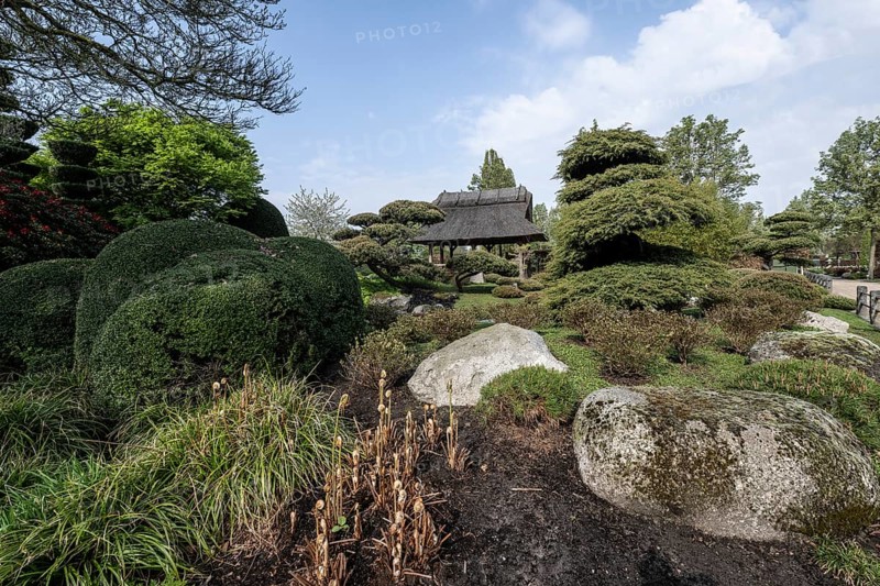 Japanese Garden, Park of Gardens, Bad Zwischenahn, Lower Saxony, Germany