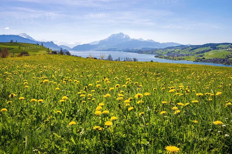View of Lake Lucerne and Mount Pilatus, Küssnacht am Rigi, Canton Schwyz, Switzerland