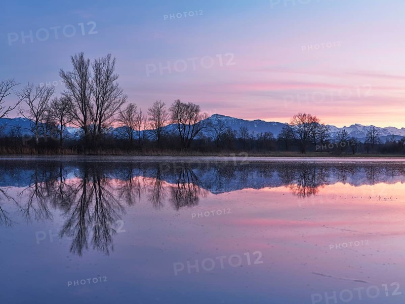 Rigi reflected in the flooded nature reserve in the evening light, Reussspitz, Hünenberg, Canton Zug, Switzerland