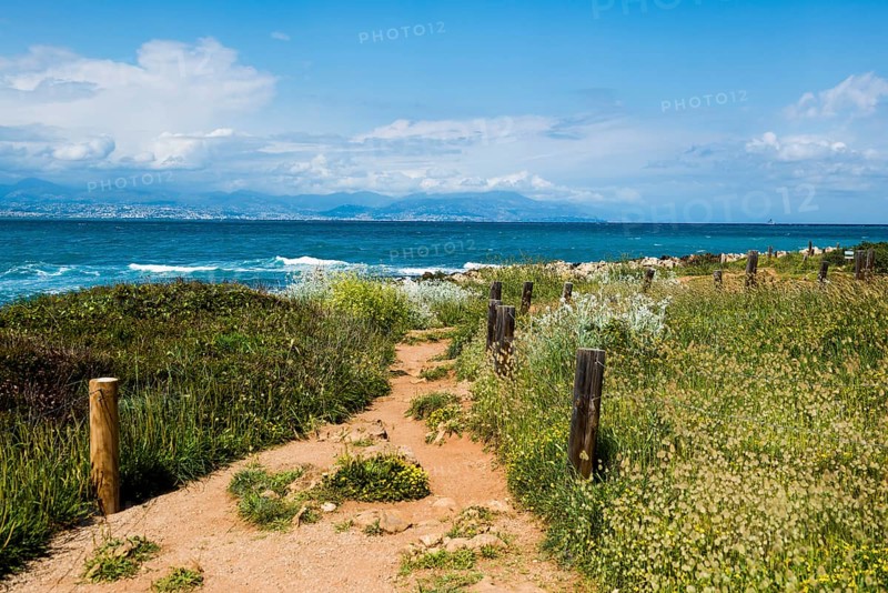Picturesque wild hiking trail on the coast, Sentier du Littoral, Cap d'Antibes, Antibes, Provence Alpes Côte d'Azur, South of France, France