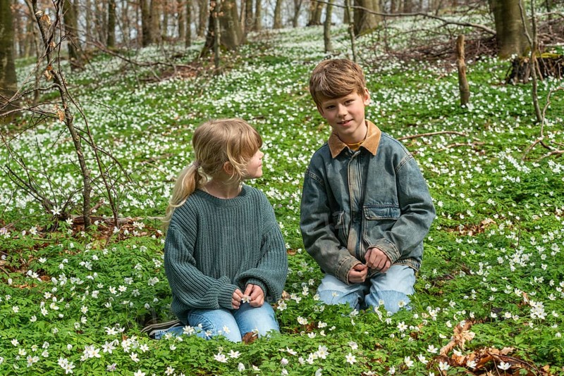 Two blond children, 6 and 8 years old, pick wood anemones (Anemone nemorosa) in spring in Ystad municipality, Skåne county, Sweden, Scandinavia