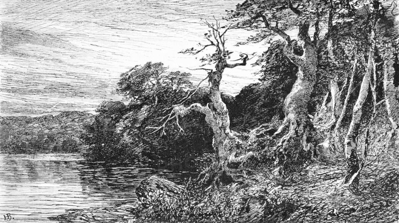 Lake Hertha near Sassnitz on Rügen, Baltic Sea, Mecklenburg-Western Pomerania, Germany, forest landscape, nature, old trees, roots, tranquillity, historical illustration 1880