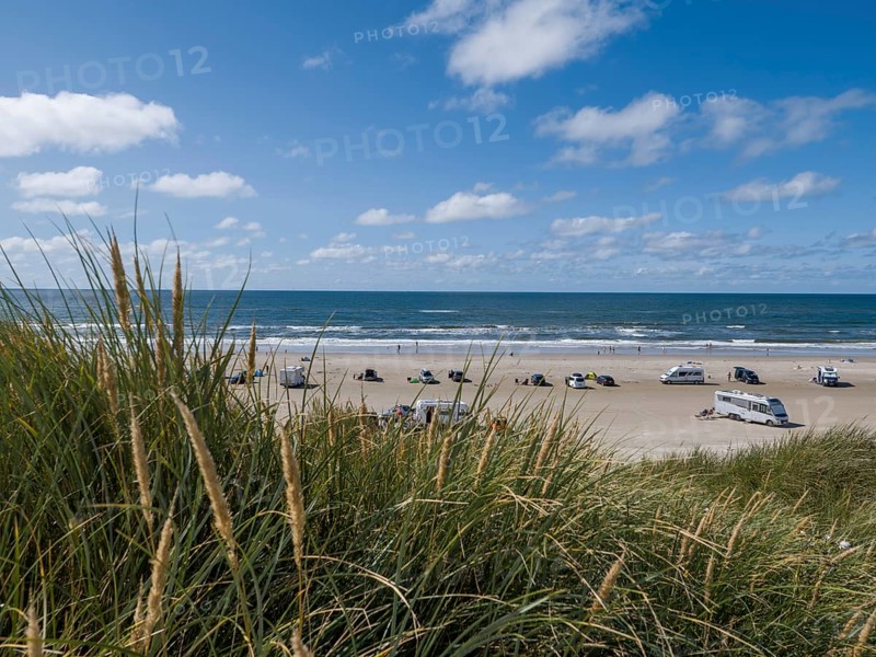 View over dunes to a car beach on the North Sea with campervans by the sea under a blue sky, Vejers Strand, Denmark