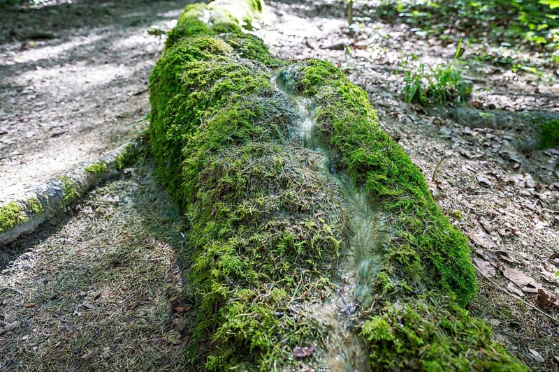 Natural phenomenon in the forest, stone channel of Roschlaub, Scheßlitz, Upper Franconia, Bavaria, Germany
