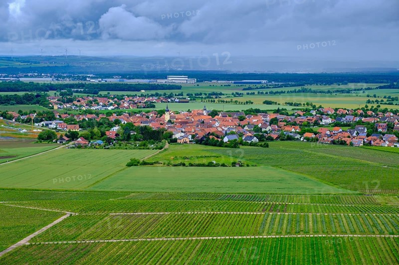 Terroir f, viewpoint in the vineyards on the Schwanberg near Rödelsee, Steigerwald nature park Park, Lower Franconia, Franconia, Germany