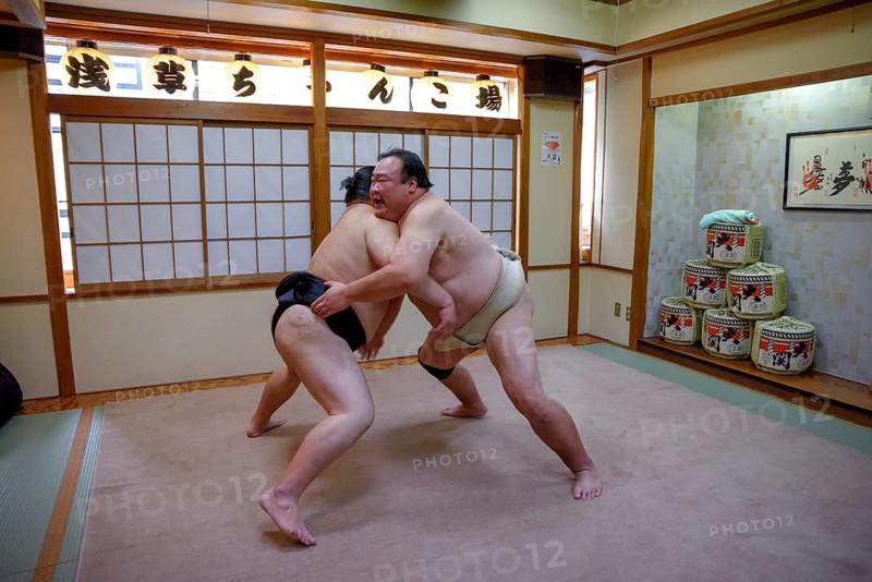 Sumo wrestler during training, Asakusa, Tokyo, Japan
