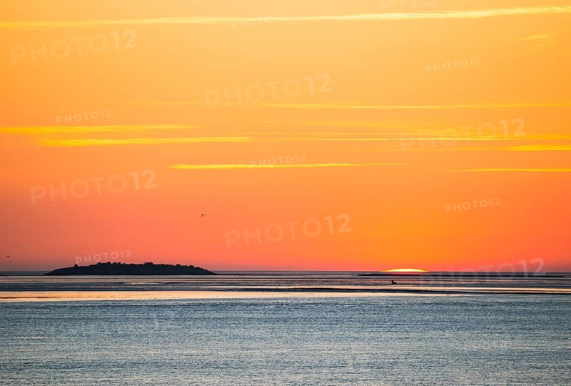 Picturesque, golden, breathtakingly beautiful sunset over the sea, island Langlütjen II far away on the horizon, last moments in front of the sun sinks into the sea, sun almost completely sunk, crescent, gulls (Larinae) and terns (Sterninae) fly in front of the orange glowing cloudless sky and sit on sandbanks, wide sea in soft colours, calm atmosphere, mouth of the Weser into the North Sea, Outer Weser, Bremerhaven, Land Bremen, Germany