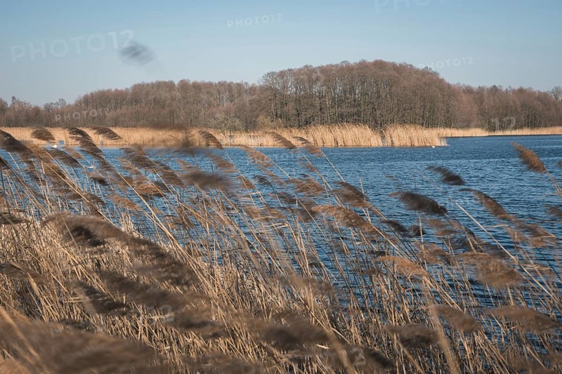 Pond Sunny in Milicz, Poland. Intentional blurred