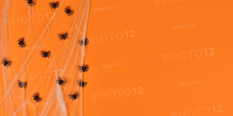 Halloween banner with spider webs and plastic spiders on side of orange background with copy space