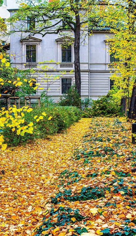Autumn in the city, residential buildings on the grounds of the Sophienkirche in Berlin-Mitte, Germany