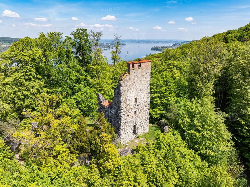 Aerial view of the Neuburg ruins, historical sight above Lake Constance, Untersee, Lake Rhine, opposite the Höri peninsula, Canton Thurgau, Switzerland