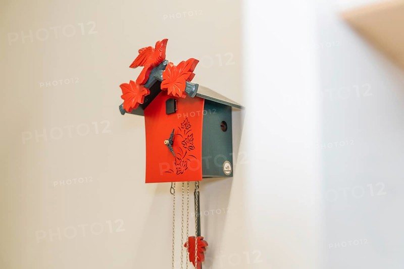 Red cuckoo clock with leaf-shaped decorations and chains on a white wall, Calw Tourist Information Centre, Black Forest, Germany