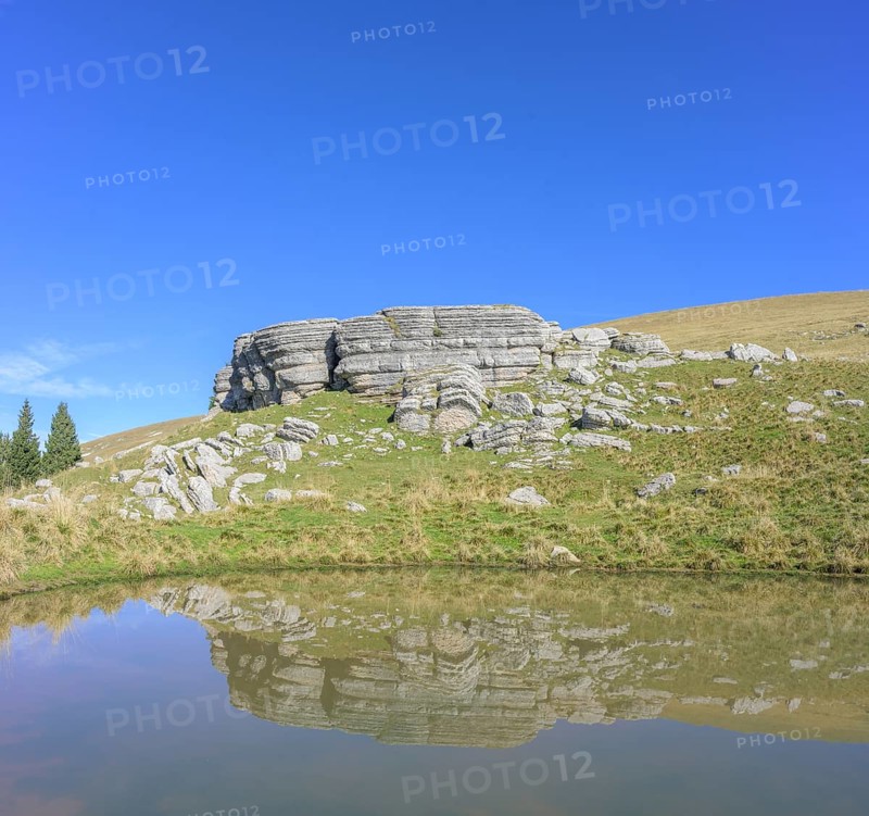 Surface karst rock formations are reflected in a pond, circular hike Monte Fior, Foza, province of Vicenza, Italy