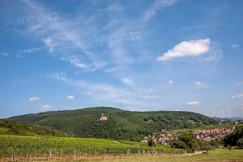 View of Klingenmünster, Landeck Castle on the left in the Palatinate Forest, Klingenmünster, German or Southern Wine Route, Southern Palatinate, Palatinate, Rhineland-Palatinate, Germany