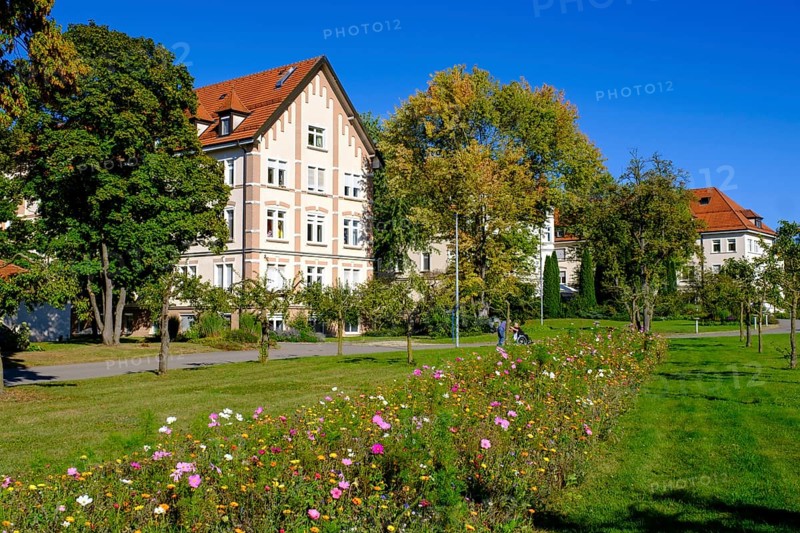 Monastery of the Visitation of Mary, Untermarchtal Monastery, Untermarchtal, Swabian Alb, Upper Swabia, Swabia, Baden-Württemberg, Germany