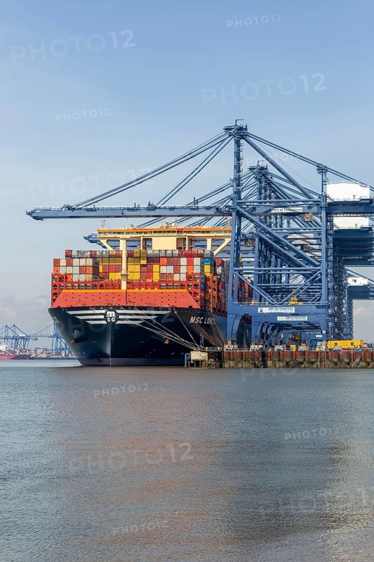 MSC Loreto, world's largest ship as of May 1st 2024, Port of Felixstowe, Suffolk, England, UK