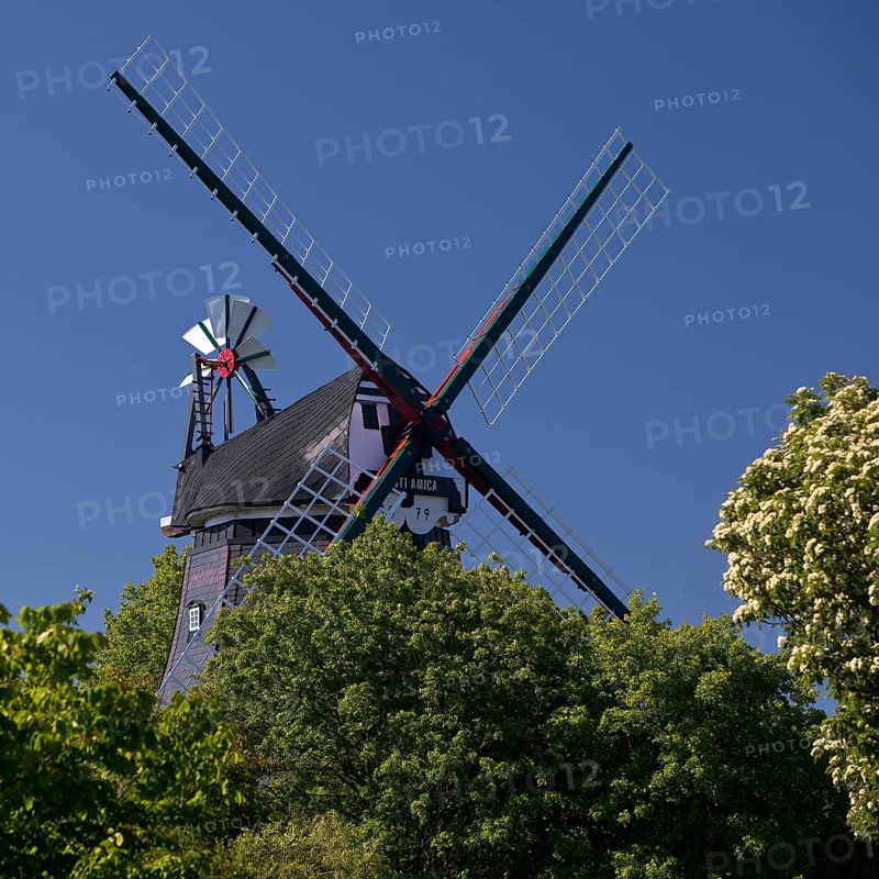 Wyker Mühle Venti Amica, friend of the wind, traditional windmill in the park at the mill, Wyk auf Föhr, North Frisia, Germany