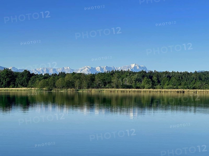 Wooded shore on Lake Starnberg with a view of the Zugspitze massif, Bavaria, Germany