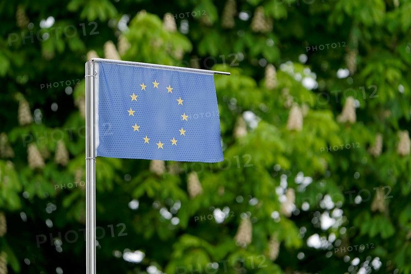 European Union flag on the background of trees. Bad Salzschlirf, Hessen, Germany