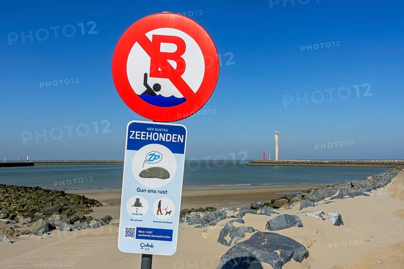 No swimming zone between groynes and sign in front of beach warning walkers not to disturb resting seals, Ostend, Oostende, West Flanders, Belgium