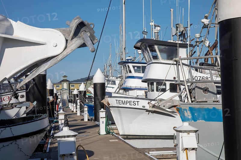 Crescent City, California - Fishing boats in Crescent City harbor