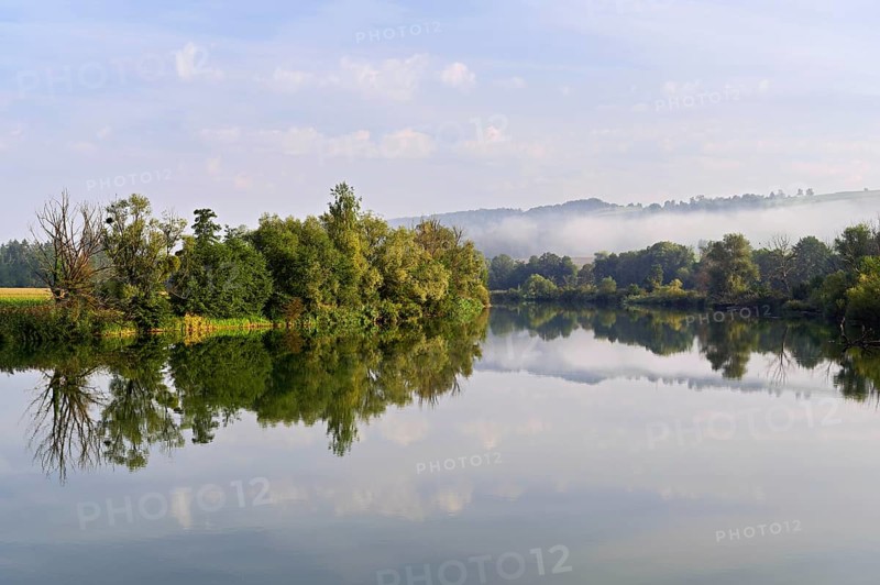 Forest shrouded in fog is reflected in the Flachsee, Rottenschwil, Canton Aargau, Switzerland