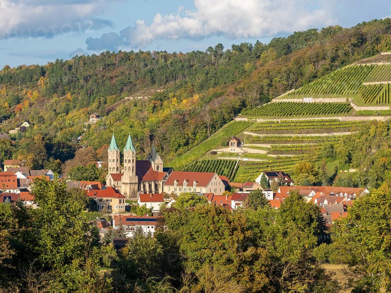 View of the town of Freyburg with the town church of St. Marien and vineyards in autumn, Freyburg (Unstrut), Saxony-Anhalt, Germany