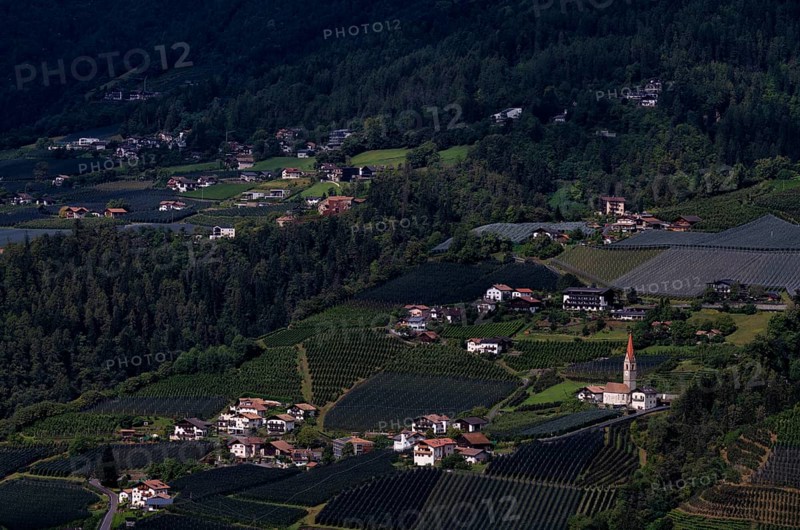 Village of Kuens with parish church of St Maurice and St Corbinian, between apple orchards, fruit growing, vineyards, wine growing, Passeier Valley, South Tyrol, Autonomous Province of Bolzano, Italy